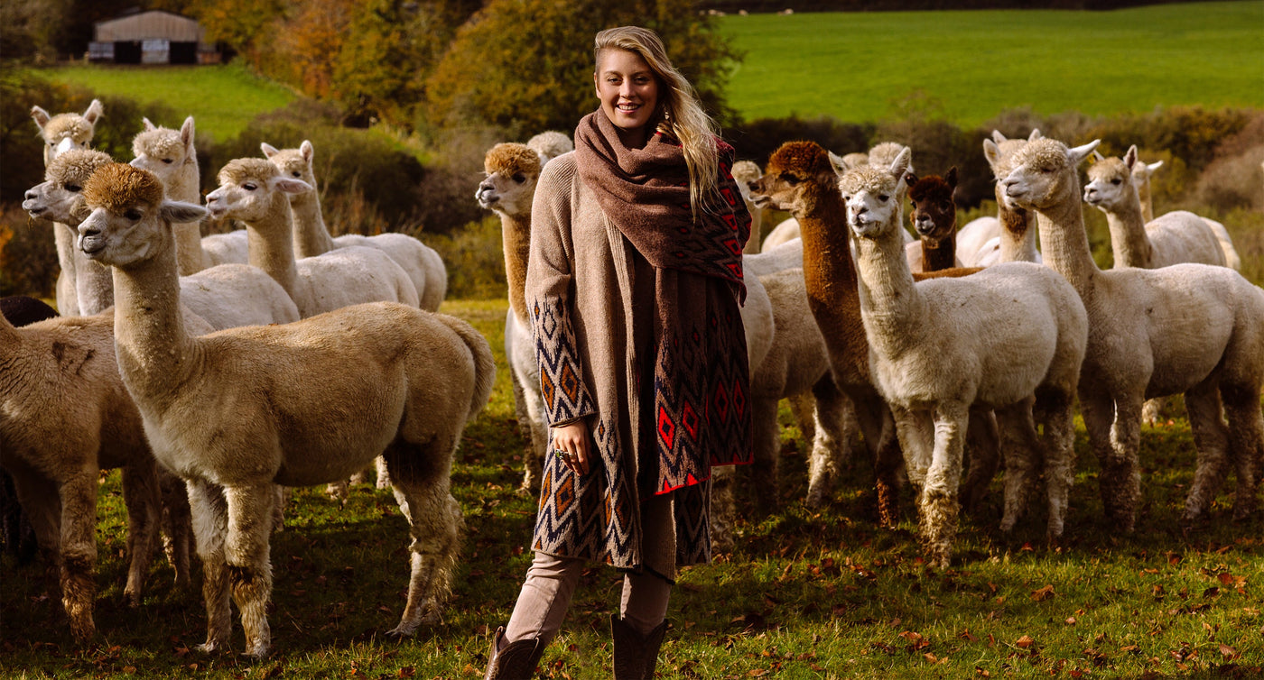 A blonde woman stands in a field with a flock of alpaca in an alpaca wool long cardigan by Shibumi.