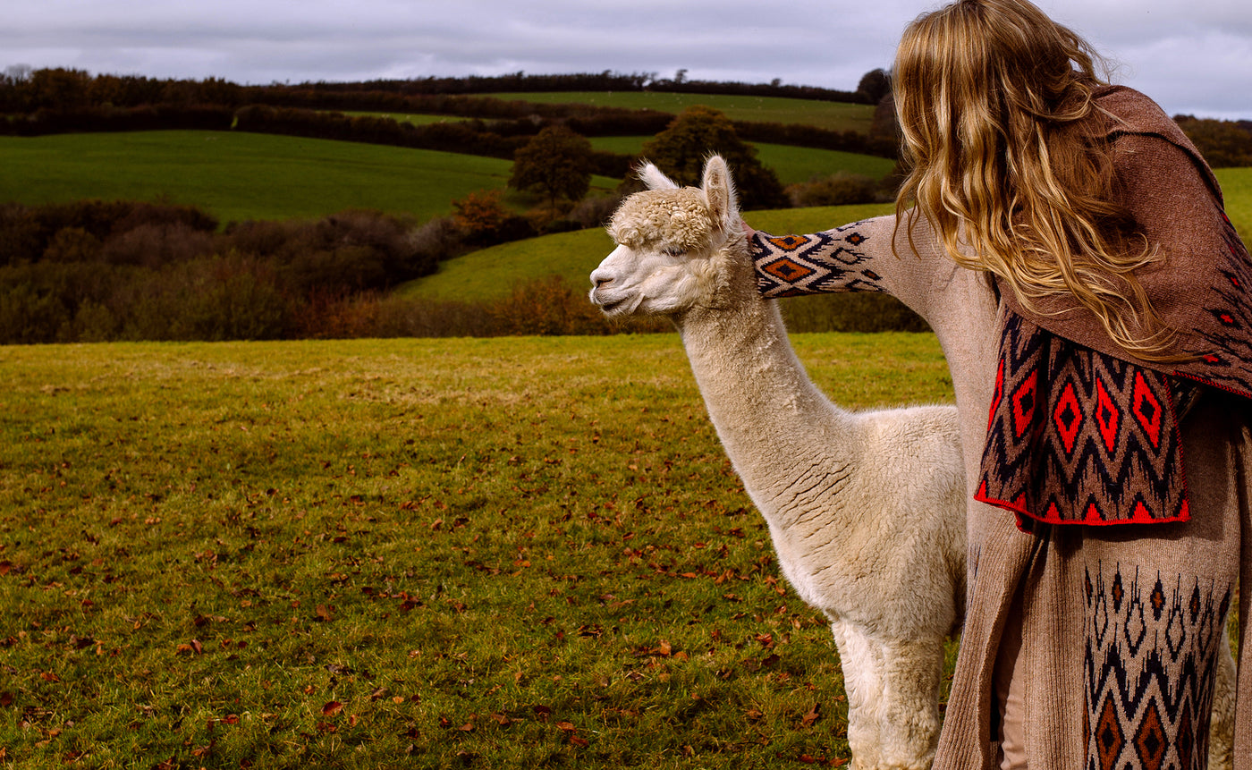 Alpaca Shawls