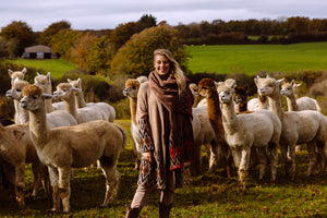 Discover Shibumi Alpaca collection