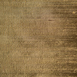 Silk gold fabric. 